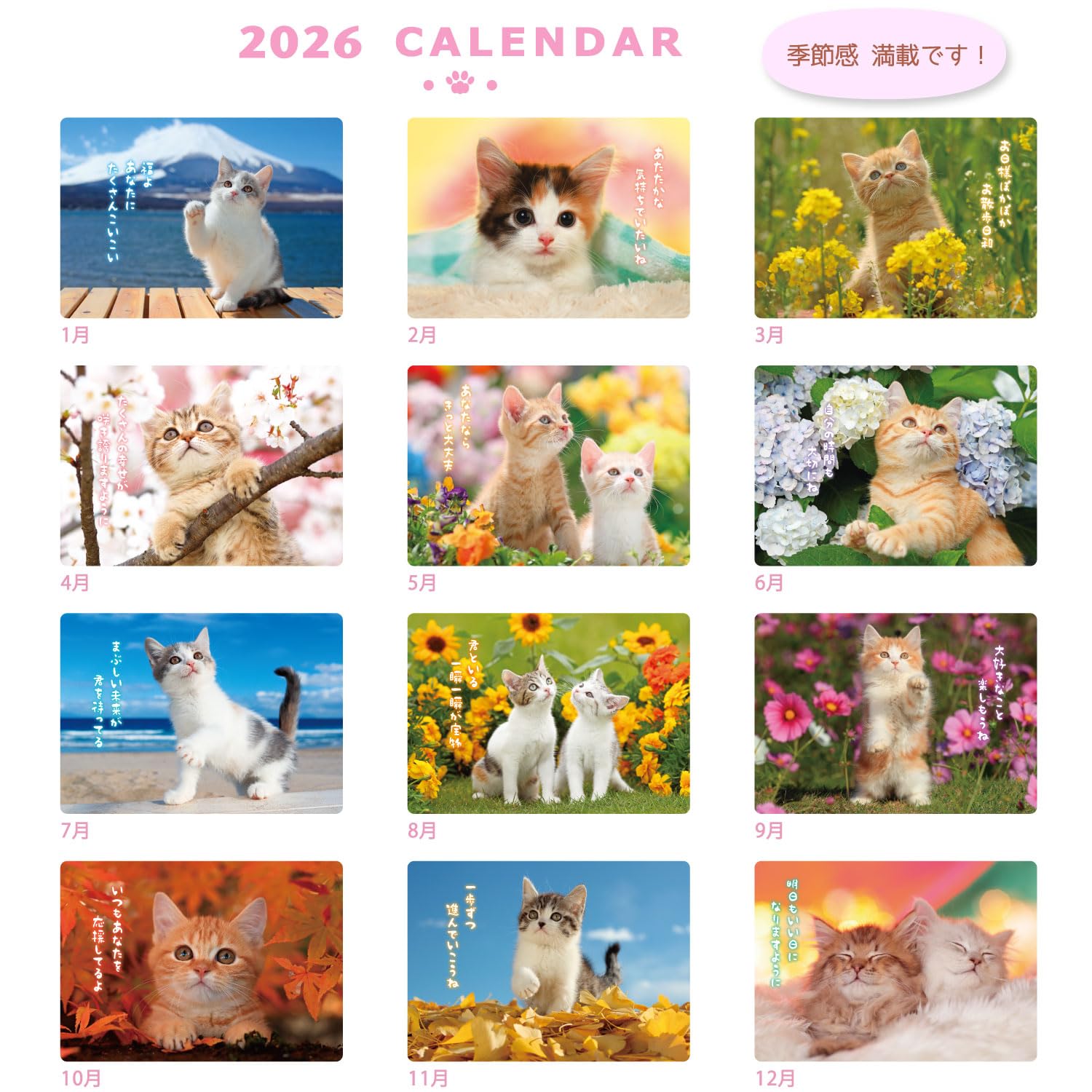 ねこの日2026 ⑧ Amazon | アクティブコーポレーション 2026 カレンダー 壁掛け CAT
